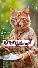 Funny videos of cat.Commedy#Just funny video#Funny videos for kids#For you#cats