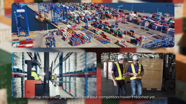 Discover New Export Markets with TradeInt | Access the Latest Import-Export Data