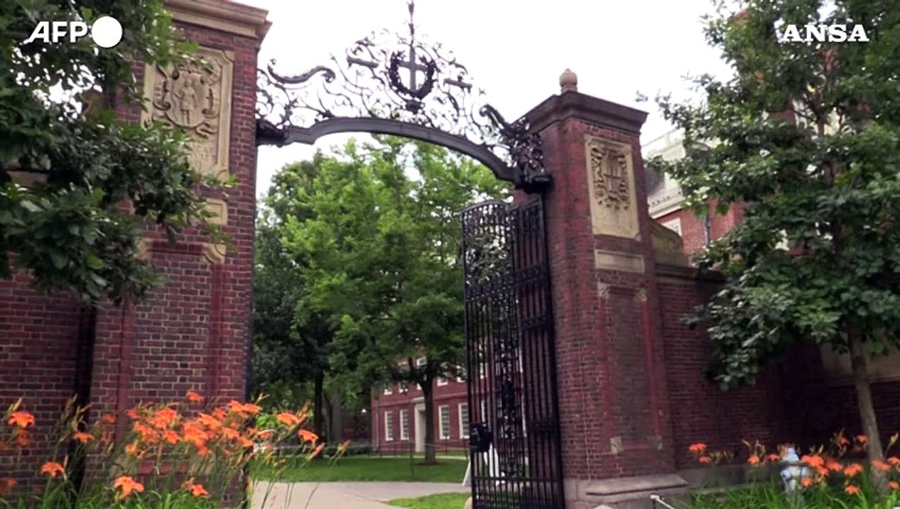 Harvard prima universita' al mondo ma gli Usa arretrano, l'Italia fa fatica