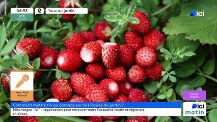 02/06/2025 - ici matin par ici Orléans en vidéo