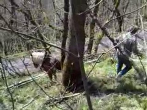 Chantier-ecole-de-Montdenis-2008-1