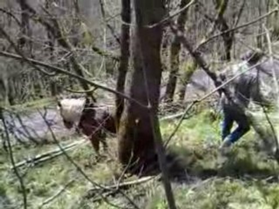 Chantier-ecole-de-Montdenis-2008-1