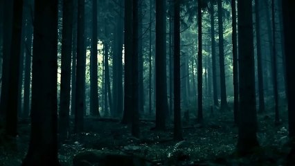 Nature Beautiful short video 720p HD