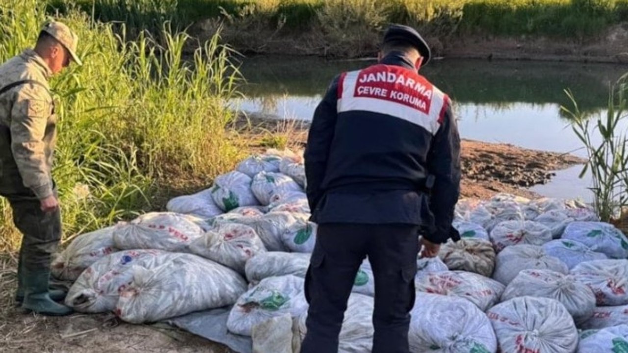 Van'da denetimlerde 22 ton 475 kilogram inci kefali ele geçirildi