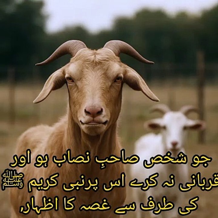 جو شخص صاحبِ نصاب ہو اور قربانی نہ کرے اس پرنبی کریم ﷺ کی طرف سے غصہ کا اظہار