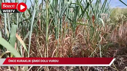 Önce kuraklık şimdi dolu vurdu