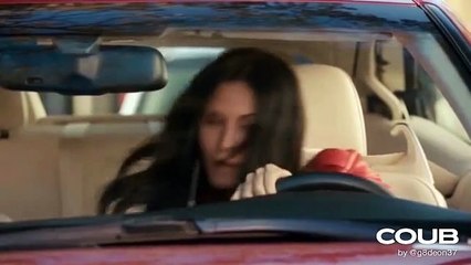 🤣🤣🤣Funny Videos - Funniest Kittens - Cats And