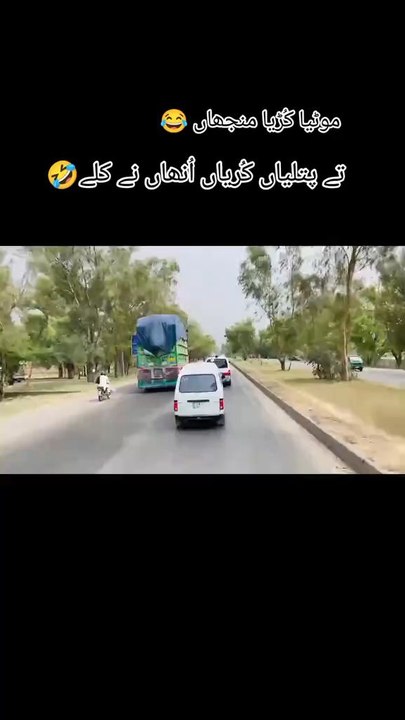 funny🤣😝😜