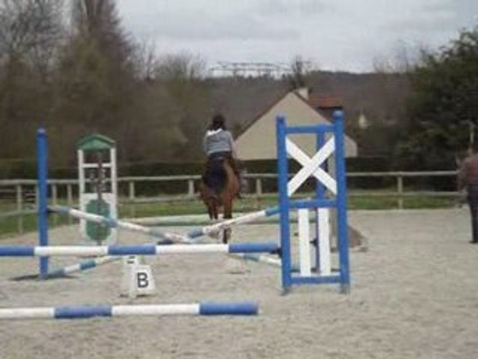 Saut