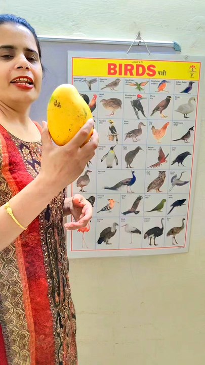 Learn birds Name