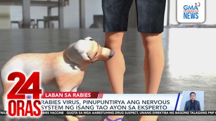 Pagpapabakuna, epektibong paraan para hindi mamatay sa rabies virus; paghuhugas ng sugat, dapat din gawin bilang paunang lunas | 24 Oras