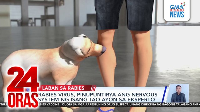 Pagpapabakuna, epektibong paraan para hindi mamatay sa rabies virus; paghuhugas ng sugat, dapat din gawin bilang paunang lunas | 24 Oras