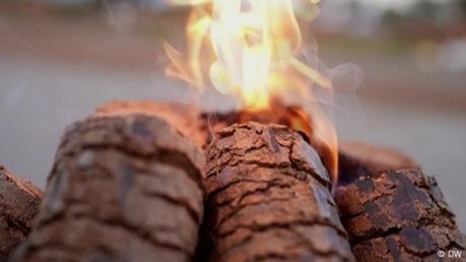 In Tamil Nadu, tribal groups turning forest weed into fuel