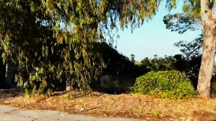 Neighbors Who Kill (2024) _ FULL THRILLER MOVIE _ Madeleine Wade _ Kris Black _ Riley Van Cleve