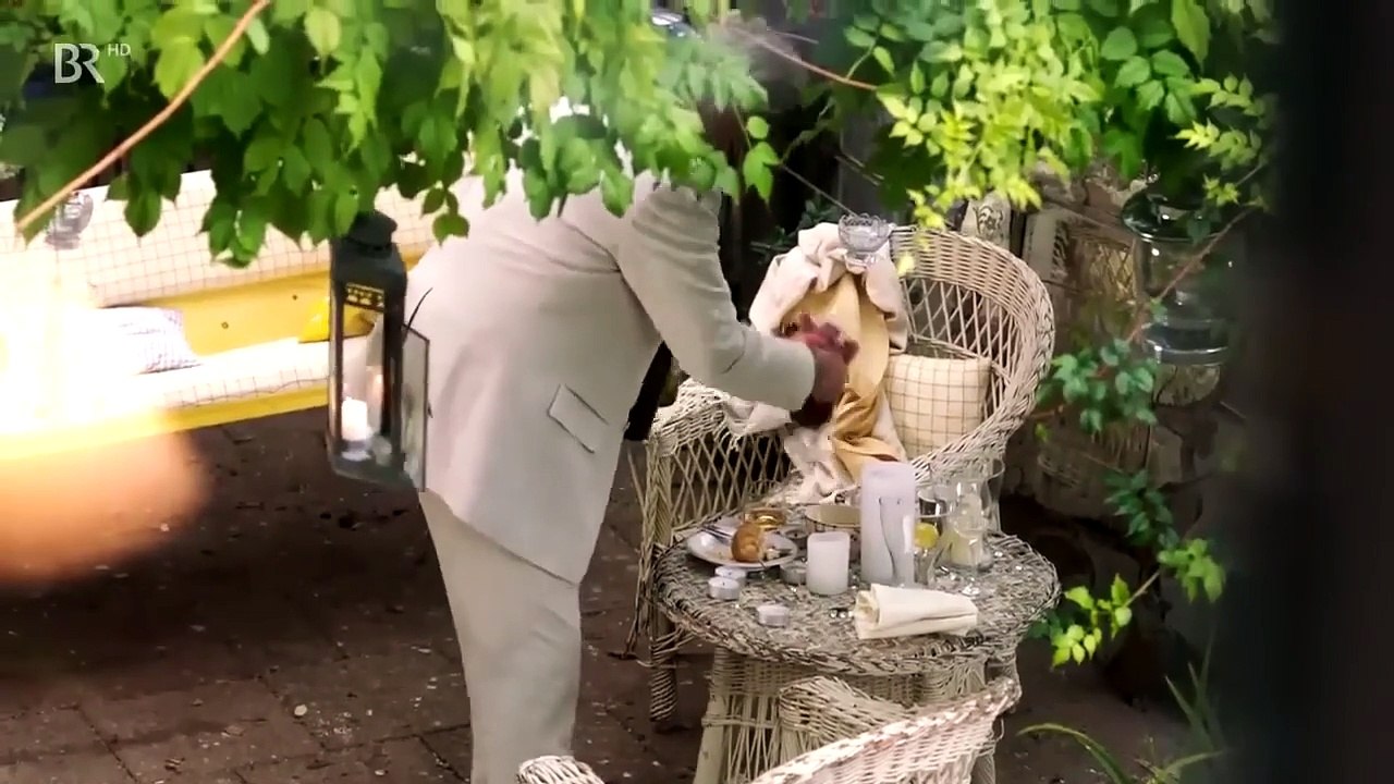 Der Kaktus