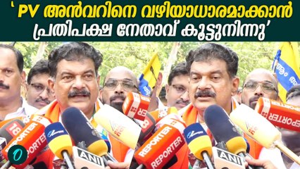 "UDFൽ അൻവർ കറിവേപ്പിൽ ആയി എന്ന് മുഖ്യമന്ത്രി നേരത്തെ അറിഞ്ഞു" | PV Anvar On UDF & LDF