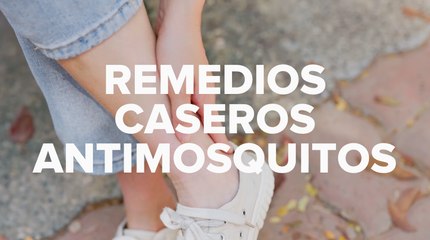 Remedios caseros antimosquitos