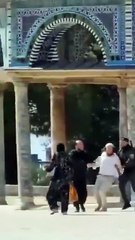 Yahudi vahşeti: Kubbetü's-Sahra'ya kanlı et sokmaya çalıştılar