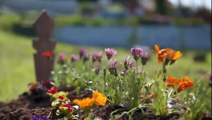 مسلسل ليلى الحلقة 35 القسم 2