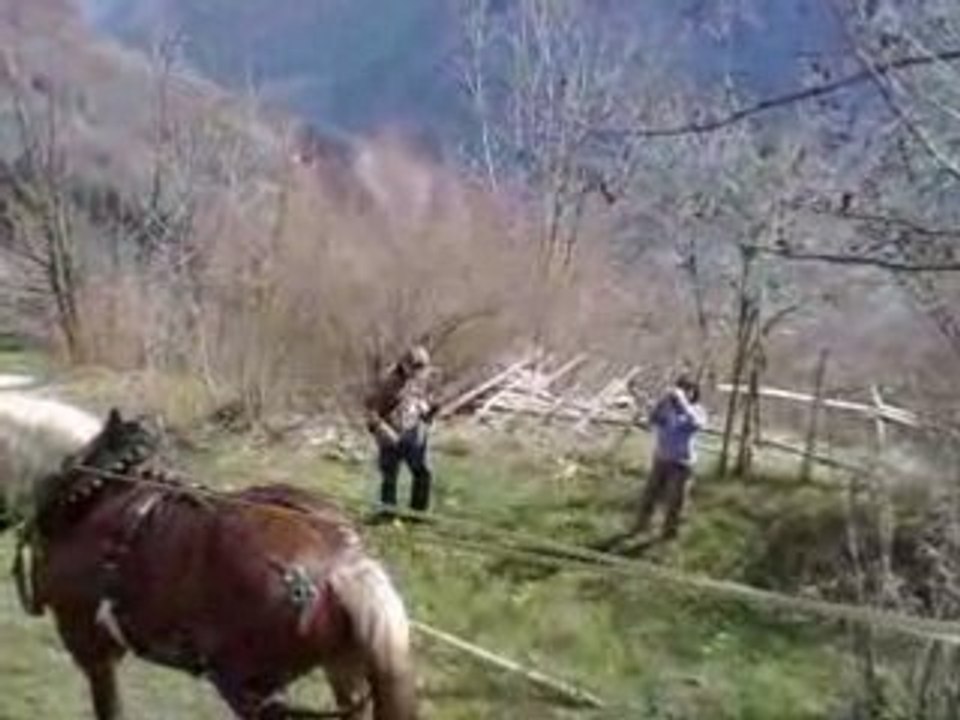 Chantier-ecole-de-Montdenis-2008-3