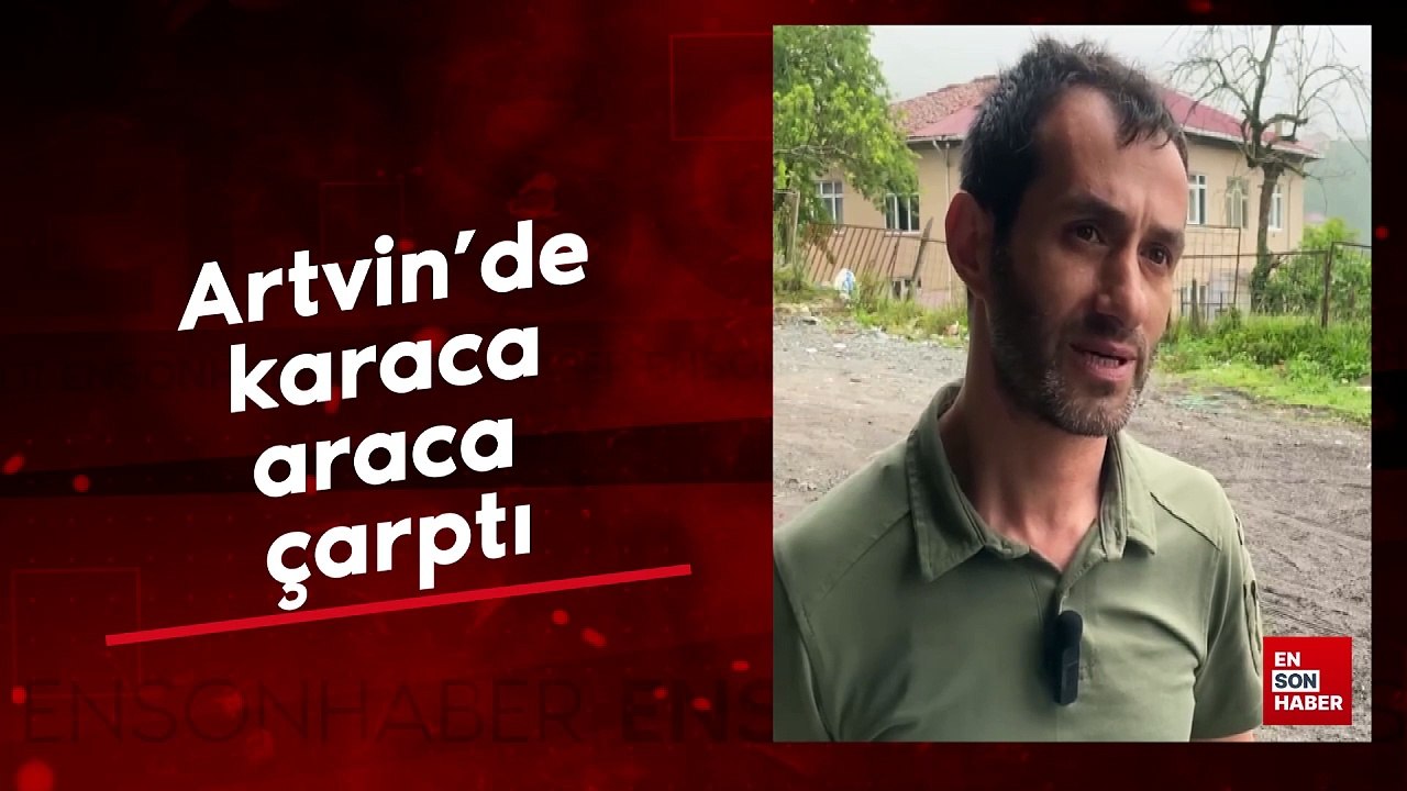 Artvin’in Borçka ilçesinde karaca araca çarptı