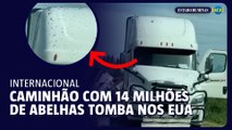 Caminhão com 14 milhões de abelhas tomba nos EUA