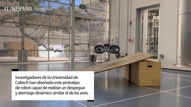 Universidad de Caltech han diseñado este prototipo de robot