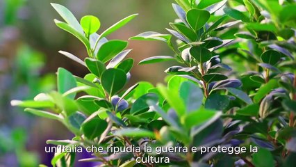 Jesi - 2 Giugno. Festa della Repubblica  (02.06.25)