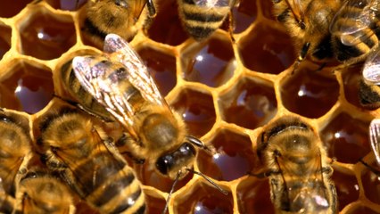 2025 halfway reflections from Leeds City Centre