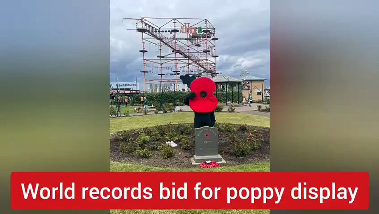 Skegness poppy project in Guinness World Records bid