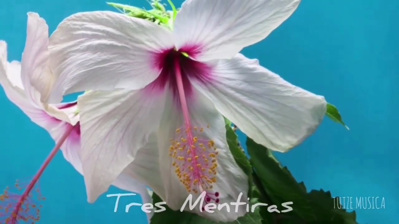 TRES MENTIRAS
