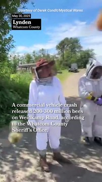 VIDEO: Vuelco de camión libera millones de abejas en Washington y desata operativo de emergencia