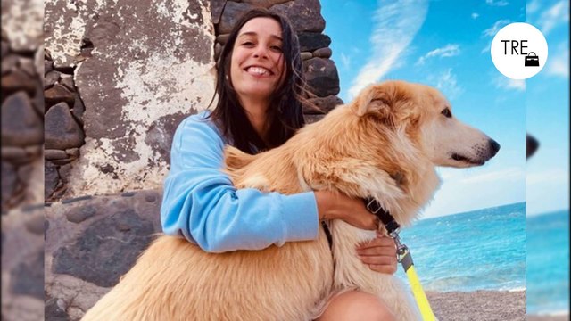 Menos niños y más perros: las razones por las que cada vez más gente prefiere tener mascota en vez de hijos