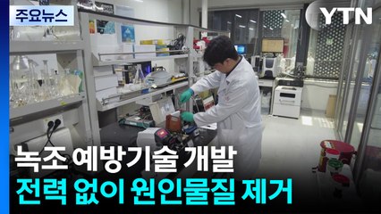 전력 없이 녹조 원인 '인' 제거하는 수처리 기술 개발 / YTN