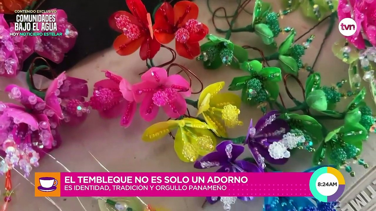 Conocimos a Carmen González, una artesana de Parita