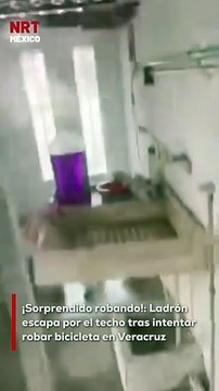 Un hombre fue sorprendido mientras intentaba robar una bicicleta en Veracruz. Al verse descubierto, emprendió una insólita huida por los techos de las casas cercanas. El video del escape se ha hecho viral en redes.