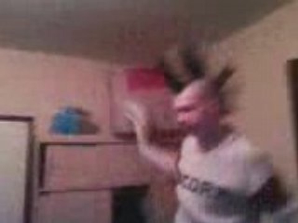 Titi chasseur de mouche