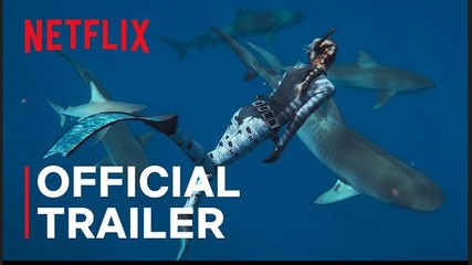 Shark Whisperer | Official Trailer - Netflix