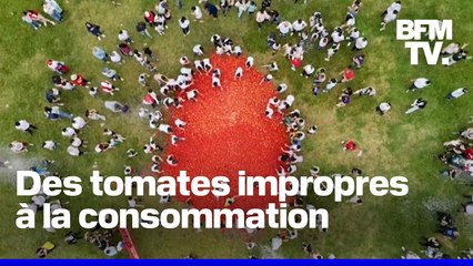 Tomatina colombienne: 36 tonnes de tomates utilisées en projectiles dans un festival