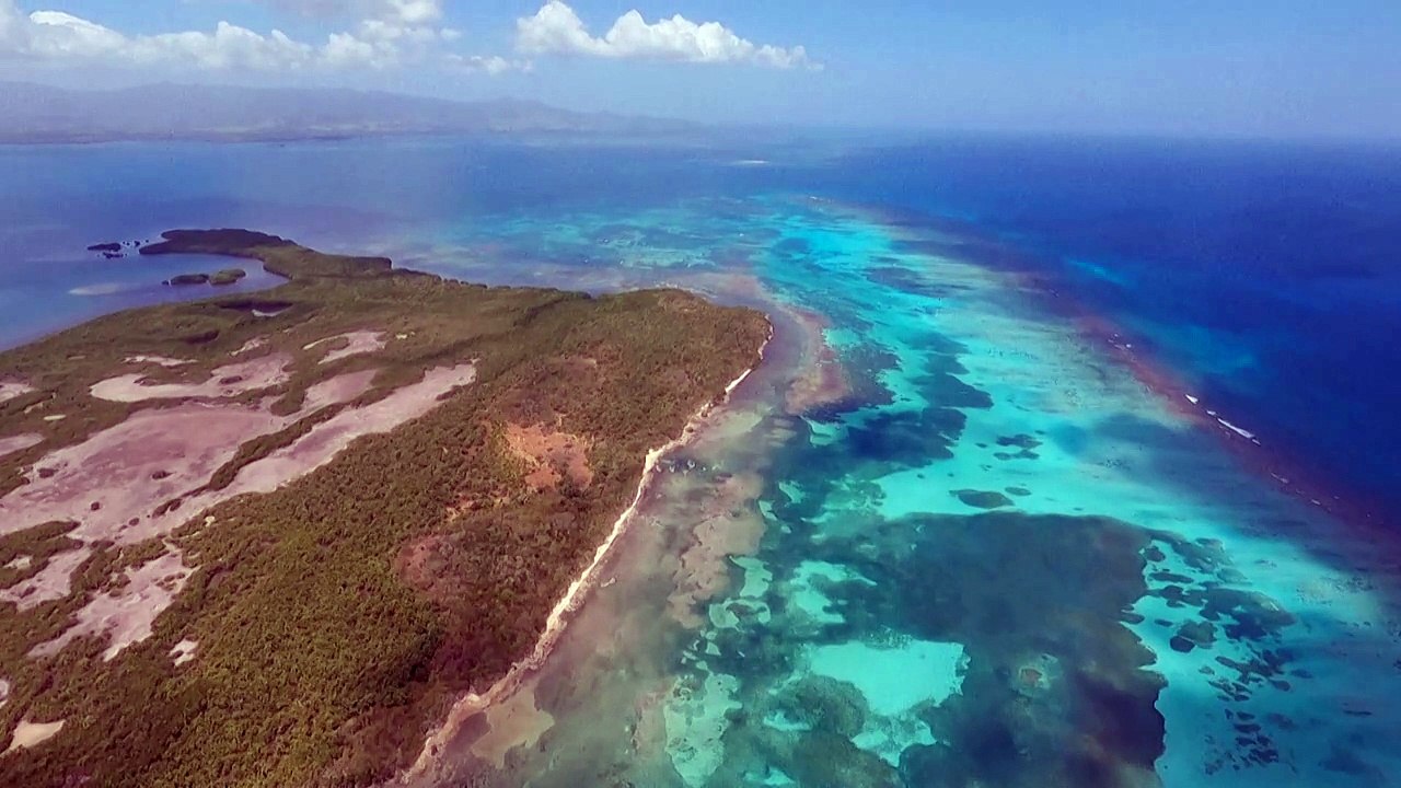 Especialistas preveem oceanos inabitáveis para maioria dos corais do mundo