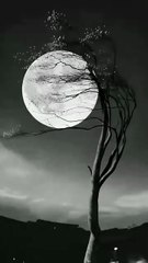 Feel thish 🎧🖤 .