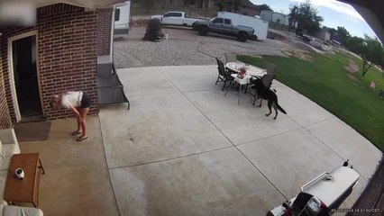 Woman Walks Into Wall