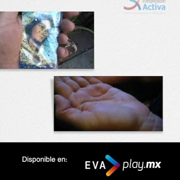 Rosa Mistica EvaPlay V1