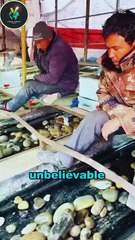 Sitting All Day to Find Treasure in Rocks – Is This Really a Job?