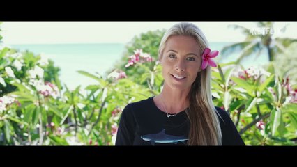 Shark Whisperer | Official Trailer | Netflix