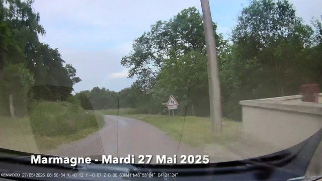 SAONE ET LOIRE : Un loup filmé entre Le Creusot et Autun ?