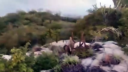 Morador denuncia abandono do Açude Albino, responsável pelo abastecimento de Imaculada-PB. Veja as imagens