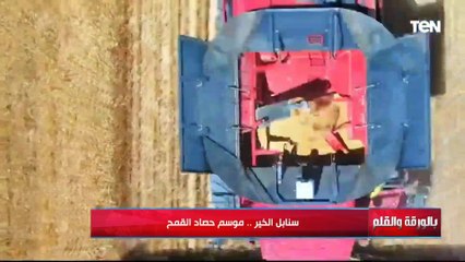 وزير الزراعة ردا على شكوى أحد المزارعين "مبناخدش حافز ليه".. لو مش كسبان من القمح مش هتعملها