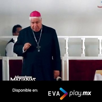Virgen Del Carmen EvaPlay V1