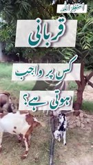 | Qurbani | Qurbani kis pr wajib hai | Qurbani kis pr farz hai | Brightway with safia |